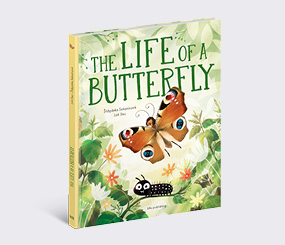 The Life of a Butterfly